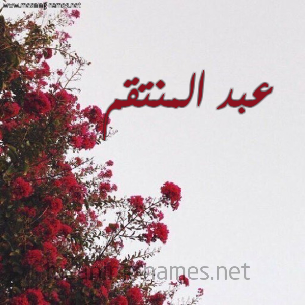 شكل 18 صوره الورد الأحمر للإسم بخط رقعة صورة اسم عبد المنتقم ABD-ALMNTQM